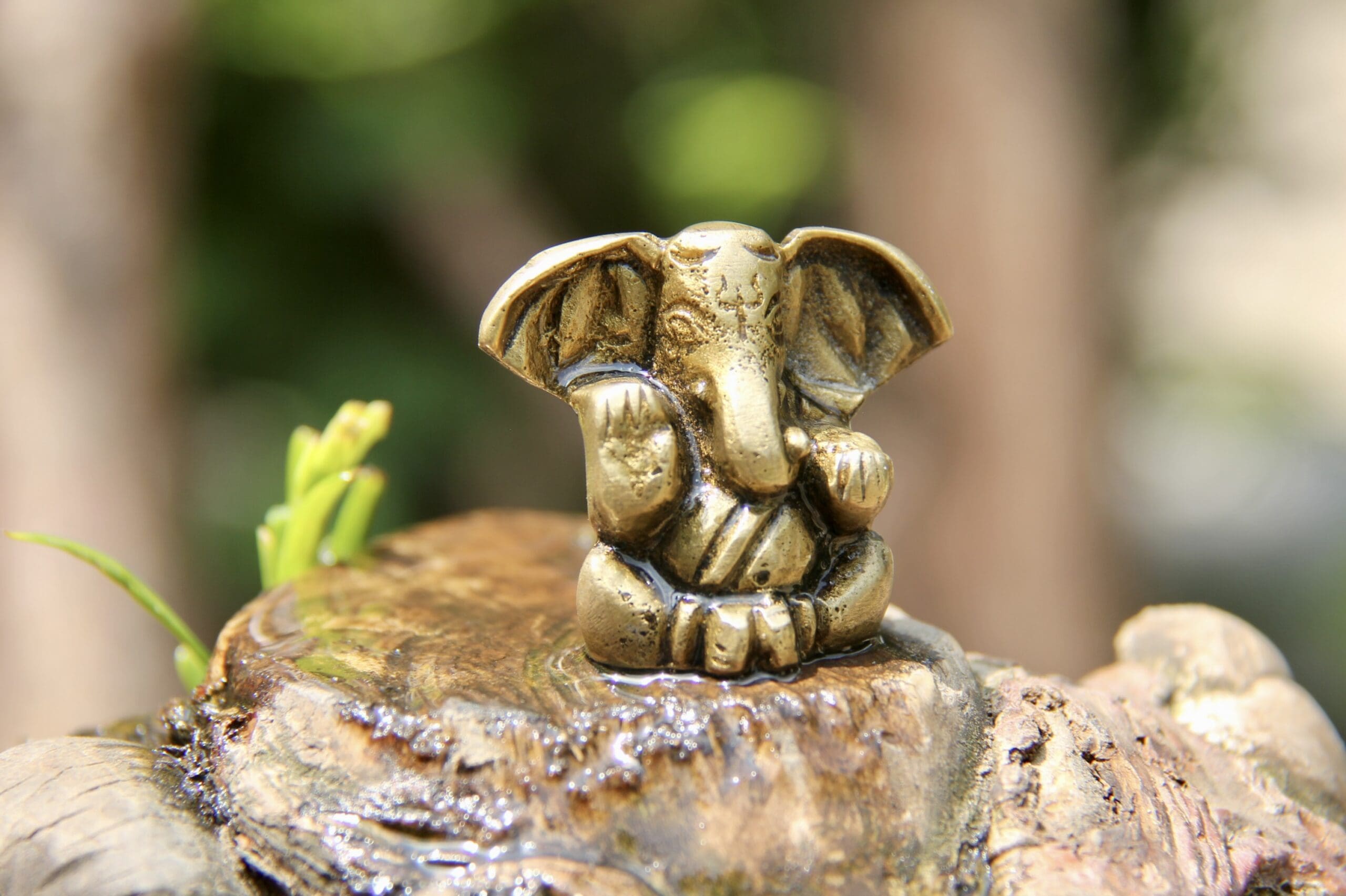 Ganesha figure sitting on a rock